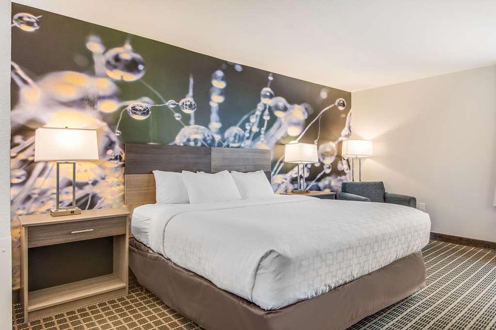 Clarion Pointe South Boston - Danville East Rom bilde